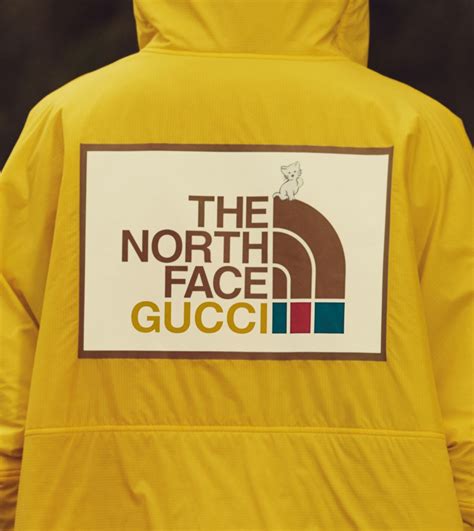 bermuda the north face gucci|gucci north face icon.